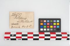 Etikett zu Bronzekugelkopfnadel (NHMW-PRAE-026577)